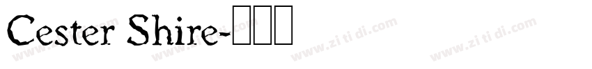 Cester Shire字体转换